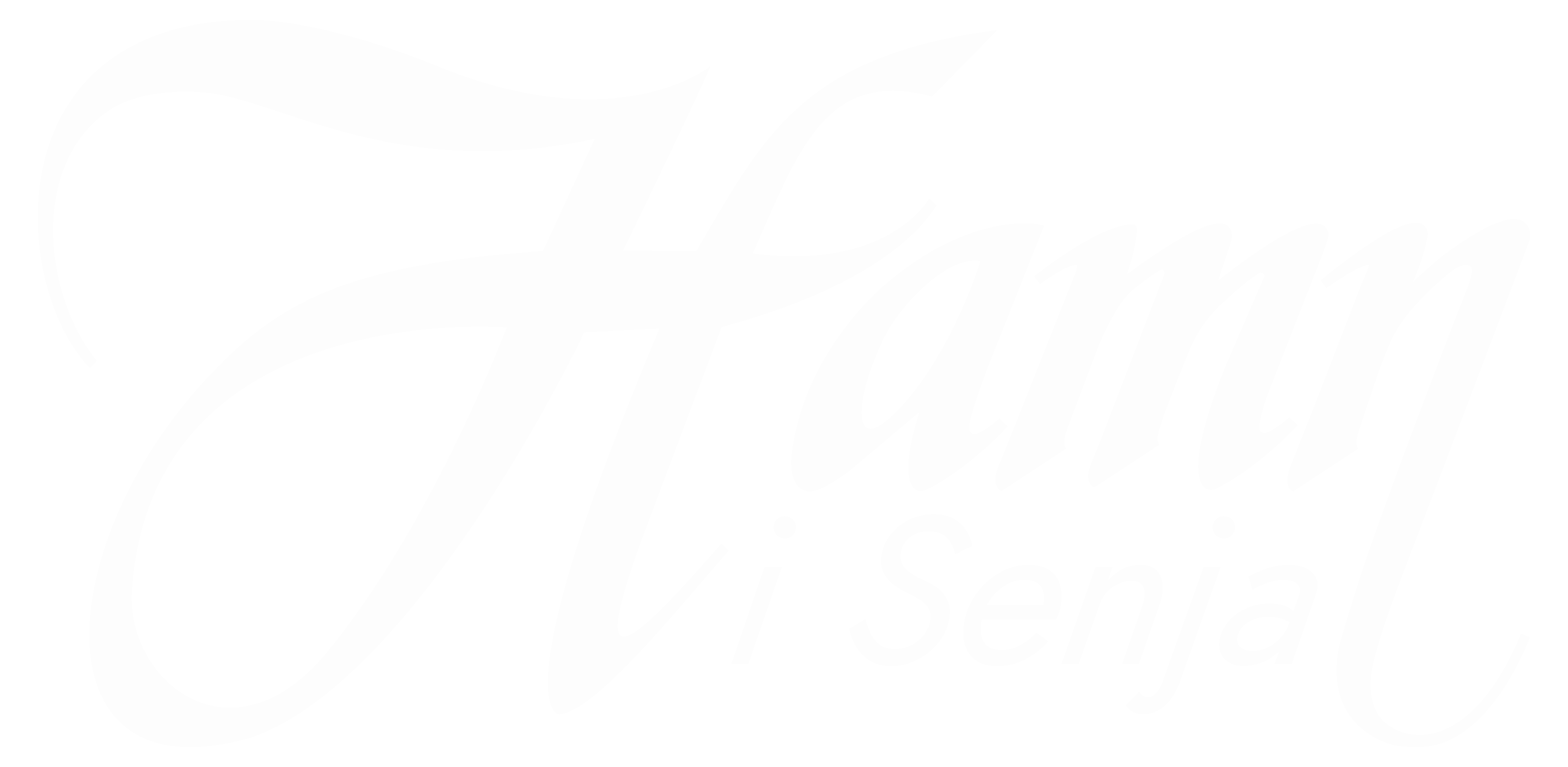 Hamn i Senja logo